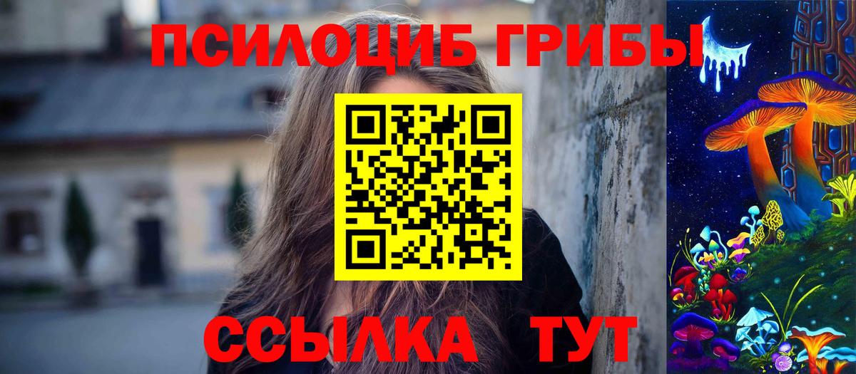 Скопин  Галлюциногенные грибы прущие грибы  Вход с VPN 